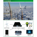 300W Roof Mounted Camping Wind Turbine 0.3kw for Monitoring